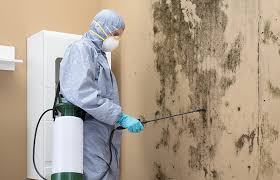 Best Industrial Mold Remediation  in Reisterstown, MD